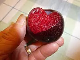 Black Ice Mustang Plum