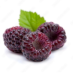 Amethyst Raspberry