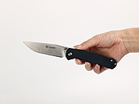 Ganzo Knife G6804