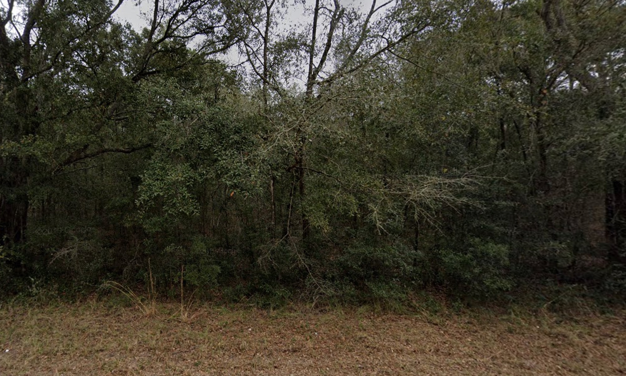 Brett Avenue Great outdoors. Scenic views. Amenities for you to explore.