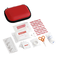 16 Piece First Aid Kit in EVA Case