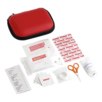 16 Piece First Aid Kit in EVA Case