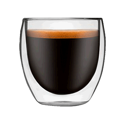 Elegant Double Wall Glass Mug in Gift Box