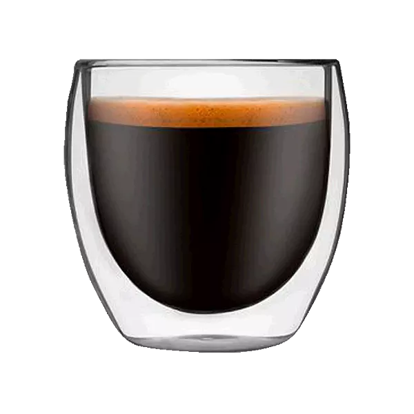 Elegant Double Wall Glass Mug in Gift Box