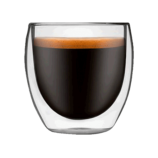 Elegant Double Wall Glass Mug in Gift Box