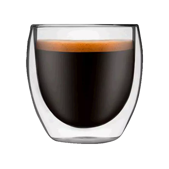 Elegant Double Wall Glass Mug in Gift Box