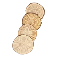 Yantic Coaster Set