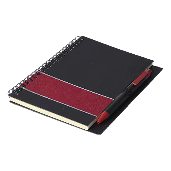 Coloured Stripe Notebook with Pen