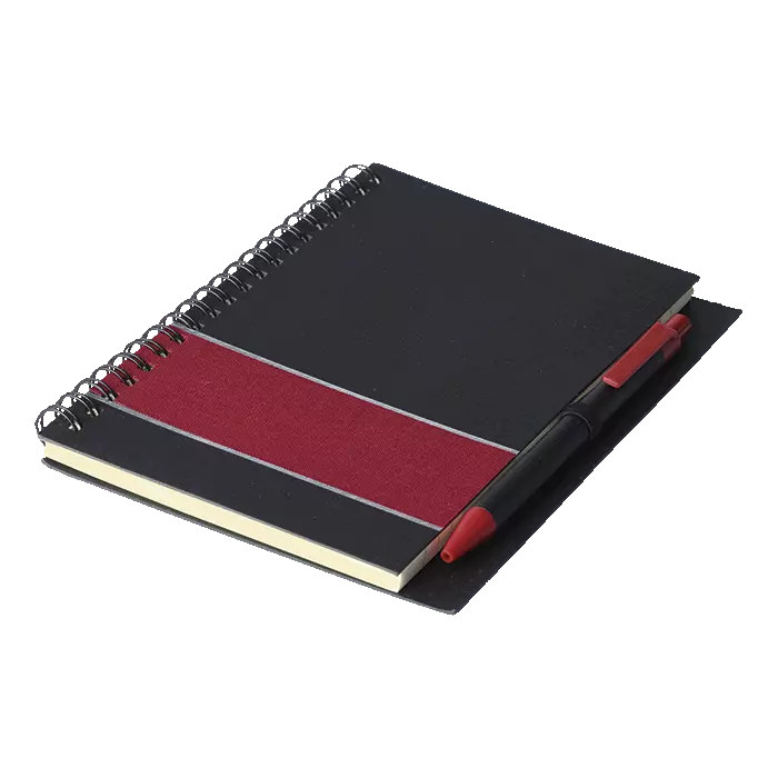 Coloured Stripe Notebook with Pen