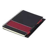 Coloured Stripe Notebook with Pen