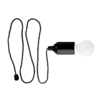 Light Bulb Shaped LED Light