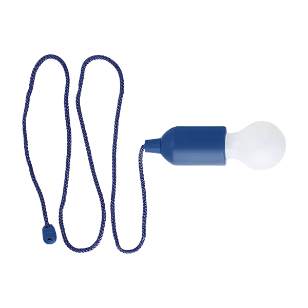 Light Bulb Shaped LED Light