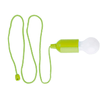 Light Bulb Shaped LED Light