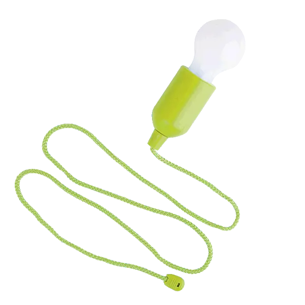 Light Bulb Shaped LED Light