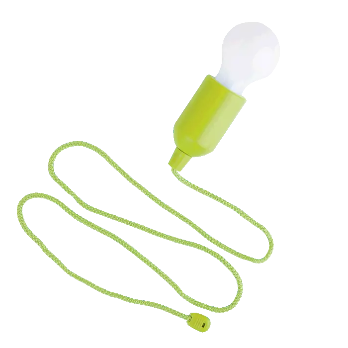 Light Bulb Shaped LED Light