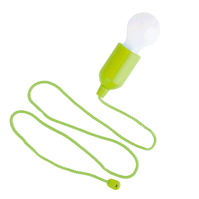 Light Bulb Shaped LED Light