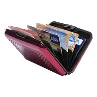 Rainol Card Holder