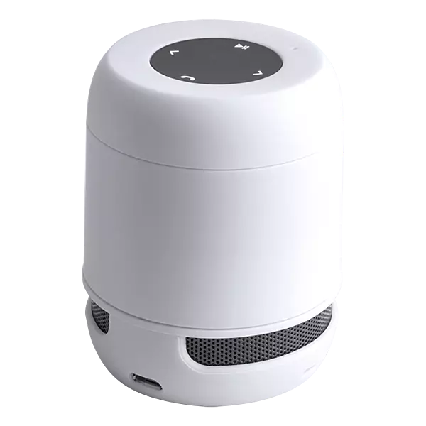 Braiss Bluetooth Speaker
