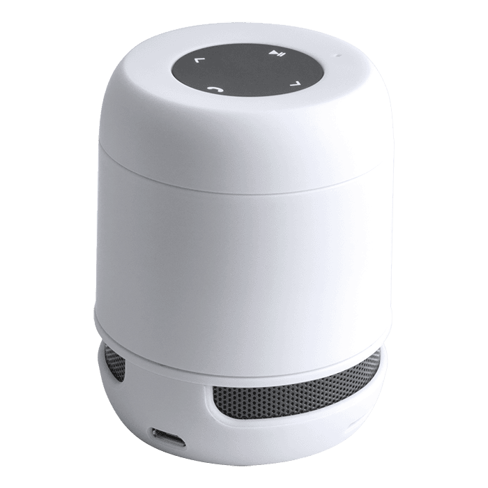 Braiss Bluetooth Speaker