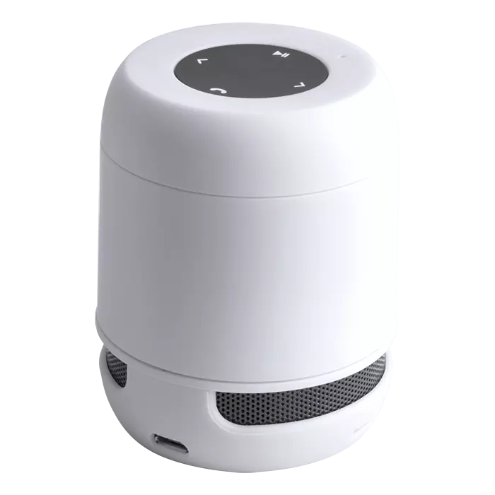 Braiss Bluetooth Speaker