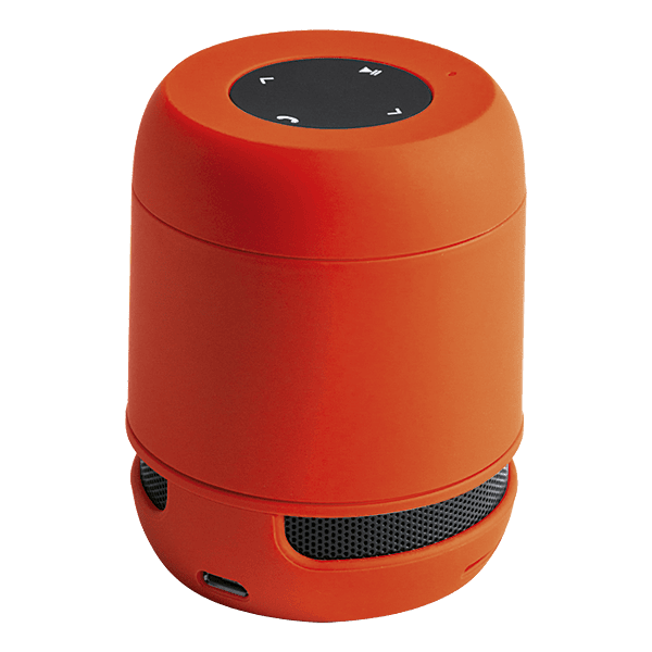 Braiss Bluetooth Speaker