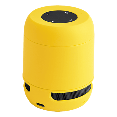 Braiss Bluetooth Speaker