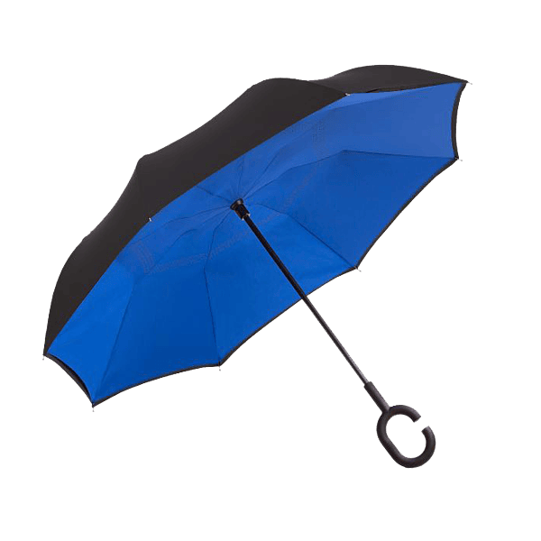 Reversible Umbrella