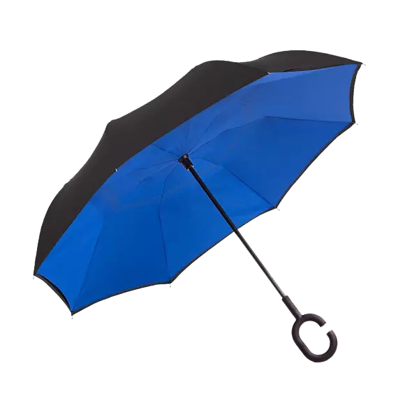 Reversible Umbrella