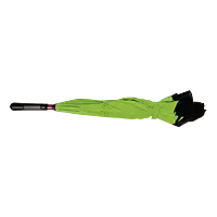 Reversible Umbrella