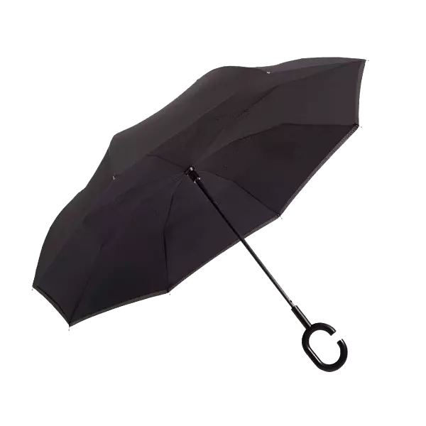 Reversible Umbrella