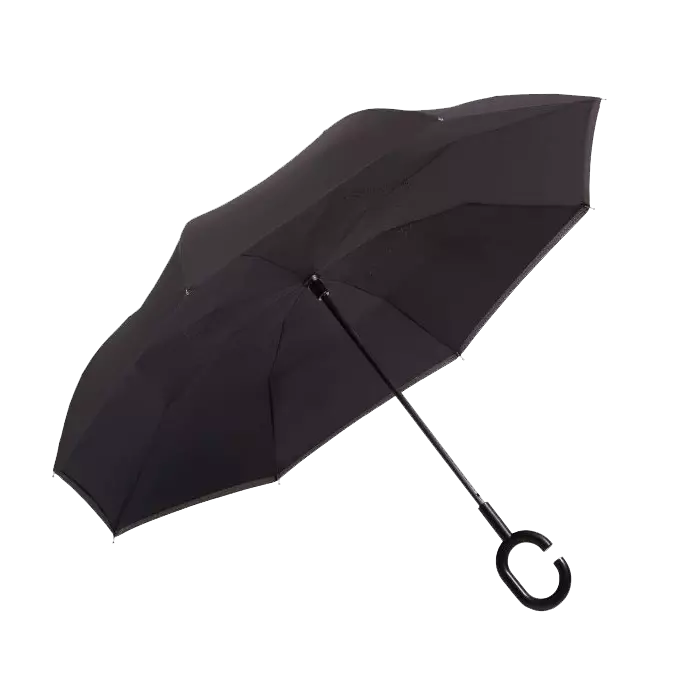 Reversible Umbrella