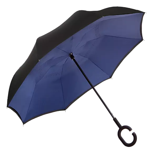 Reversible Umbrella