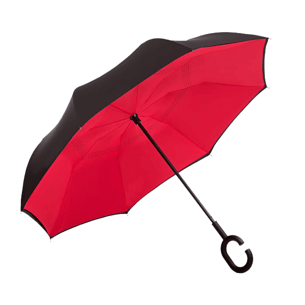 Reversible Umbrella