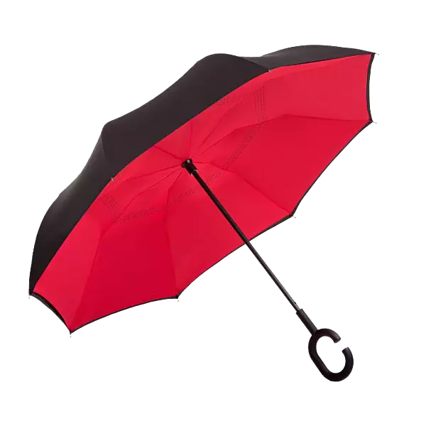 Reversible Umbrella