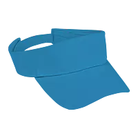 Arena Visor