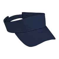 Arena Visor