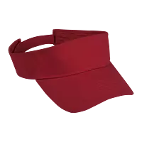 Arena Visor