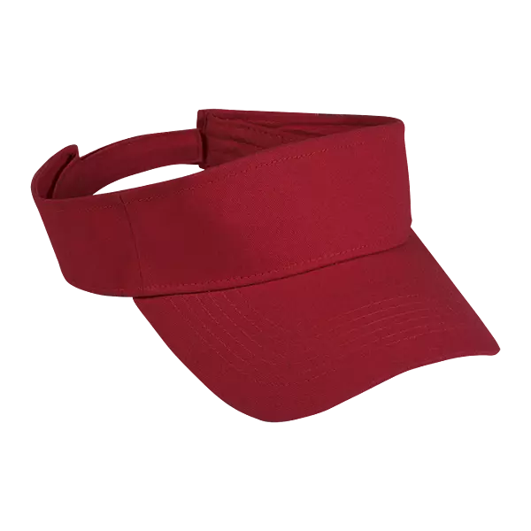 Arena Visor