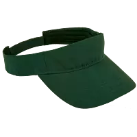 Wing Visor