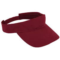 Wing Visor