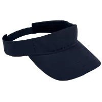 Wing Visor