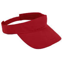 Wing Visor