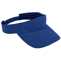 Wing Visor