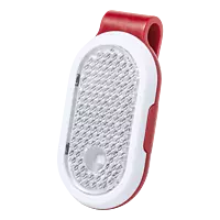 Security Light Hespar