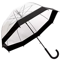 Dome Shaped Clear Umbrella