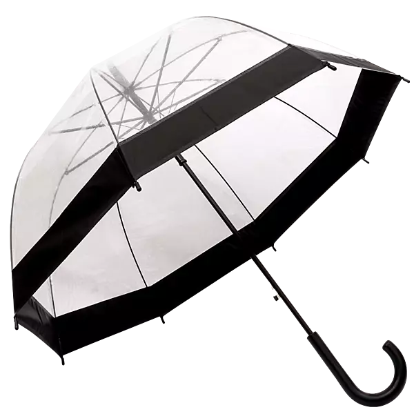 Dome Shaped Clear Umbrella