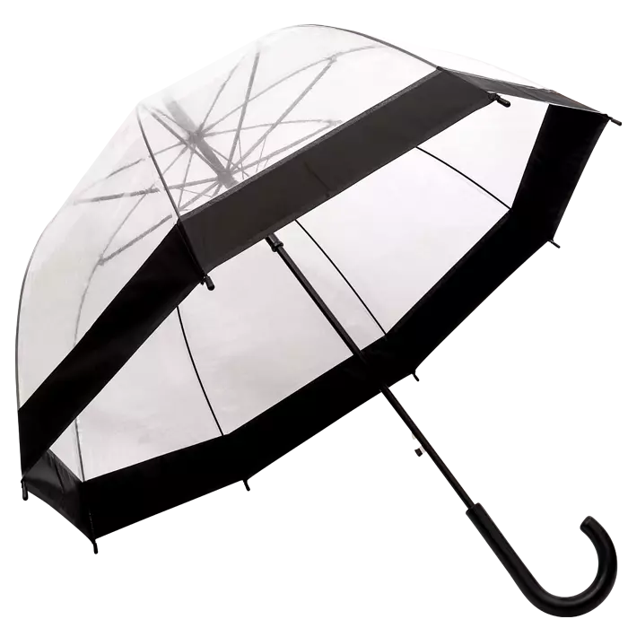 Dome Shaped Clear Umbrella