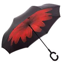 Printed Reversible Umbrella