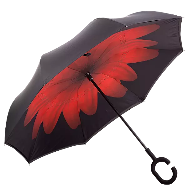 Printed Reversible Umbrella