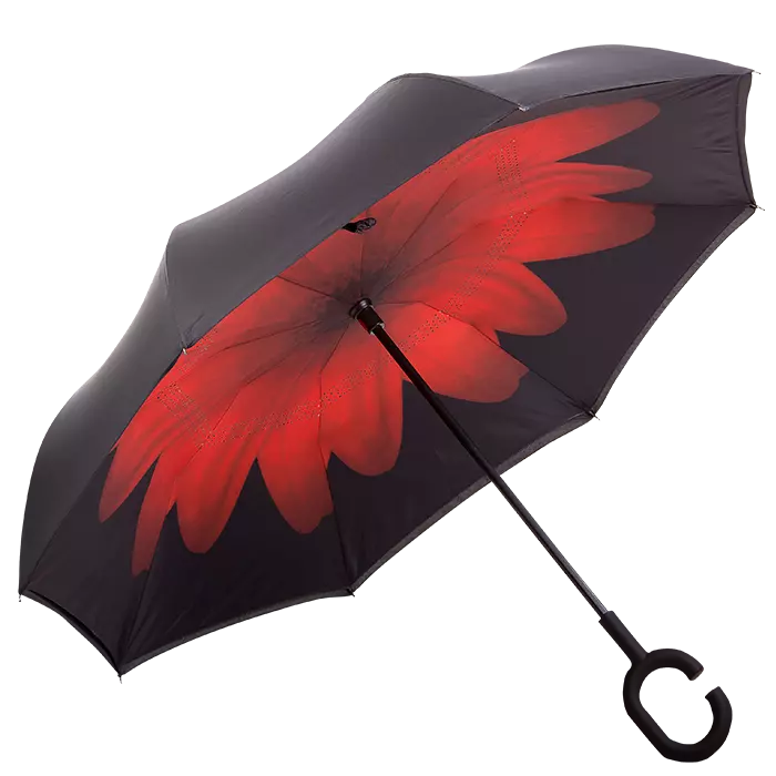 Printed Reversible Umbrella